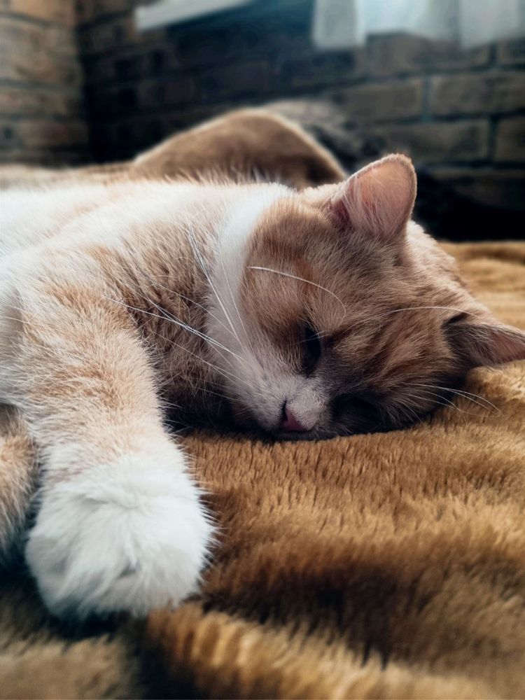 Photograph by Марина Хохрякова