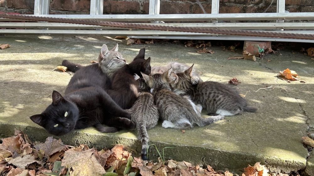 Photograph by Олег Ведерников