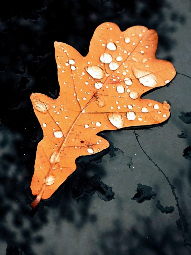 Photograph by Марина Хохрякова