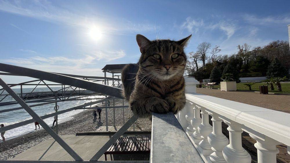 Photograph by Олег Ведерников