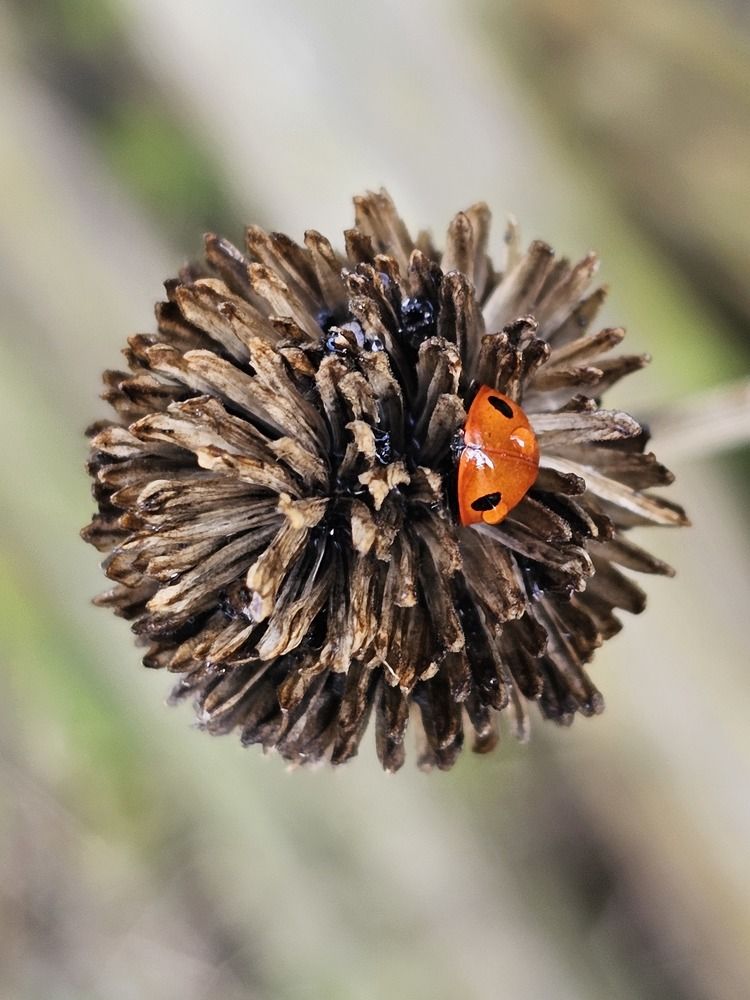 Photograph by Karolina Żółtowska