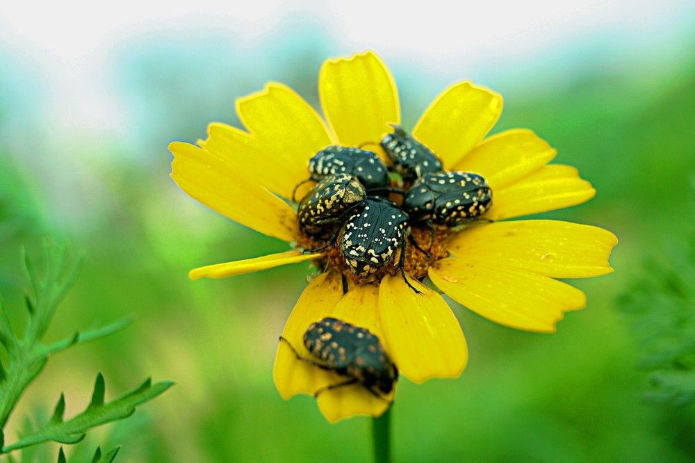 Photograph by Сергей Рапопорт