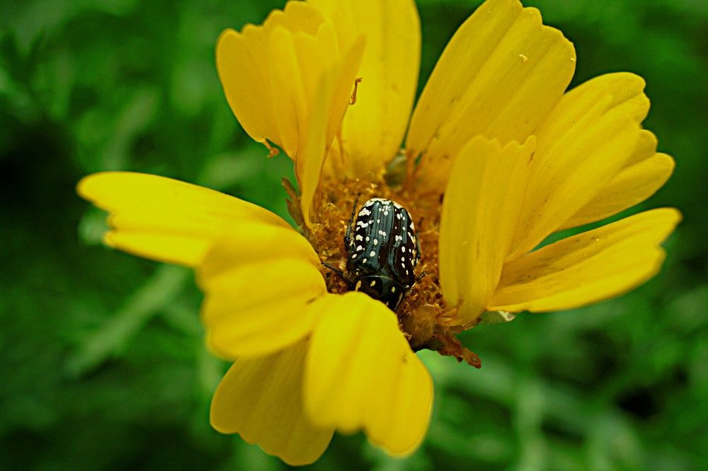 Photograph by Сергей Рапопорт