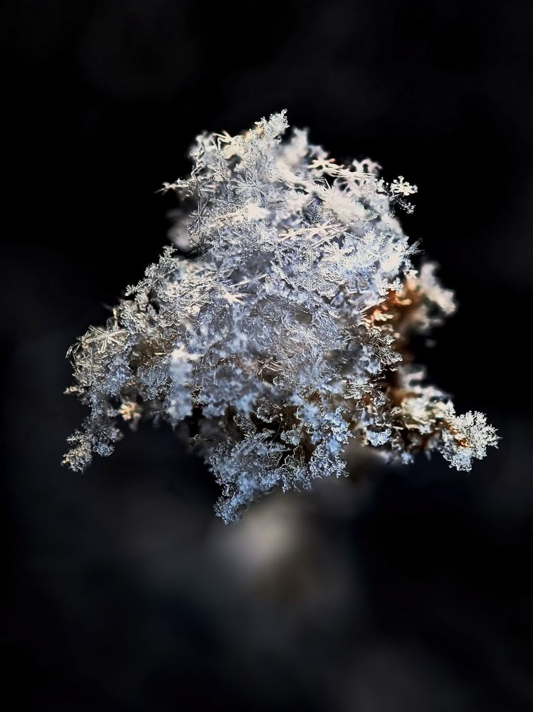 Снег как он есть.