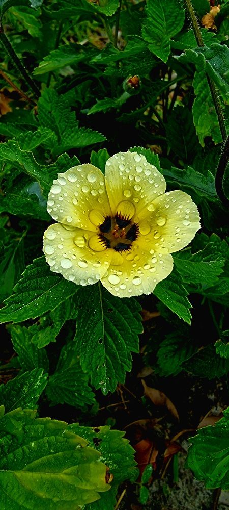 Photograph by HELBER AZEVEDO