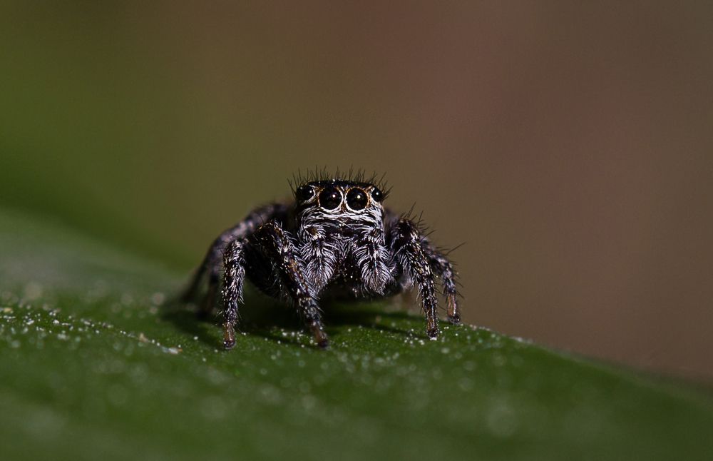 Фотография автора Andrey Pristyazhnyuk