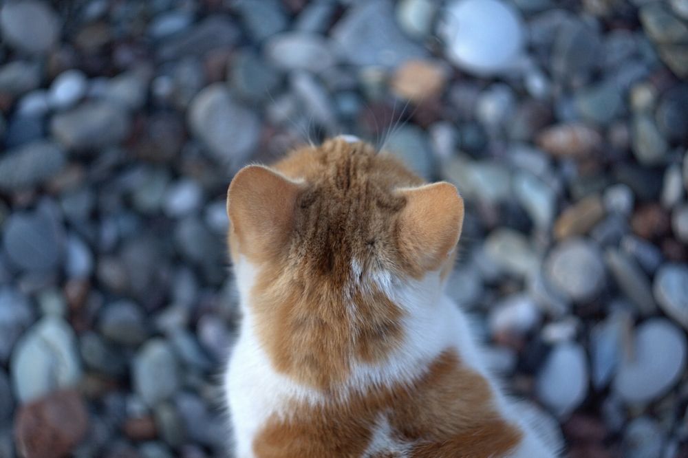 Photograph by Александр Волков