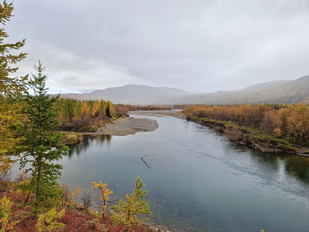 Photo #10447665
