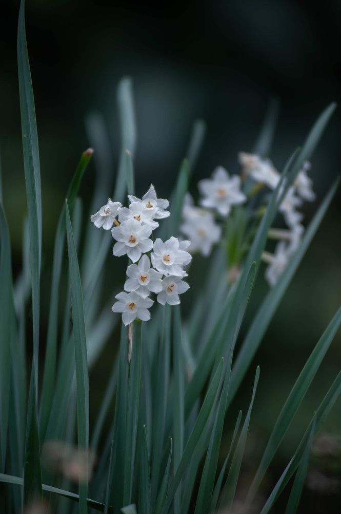 Photograph by Артур