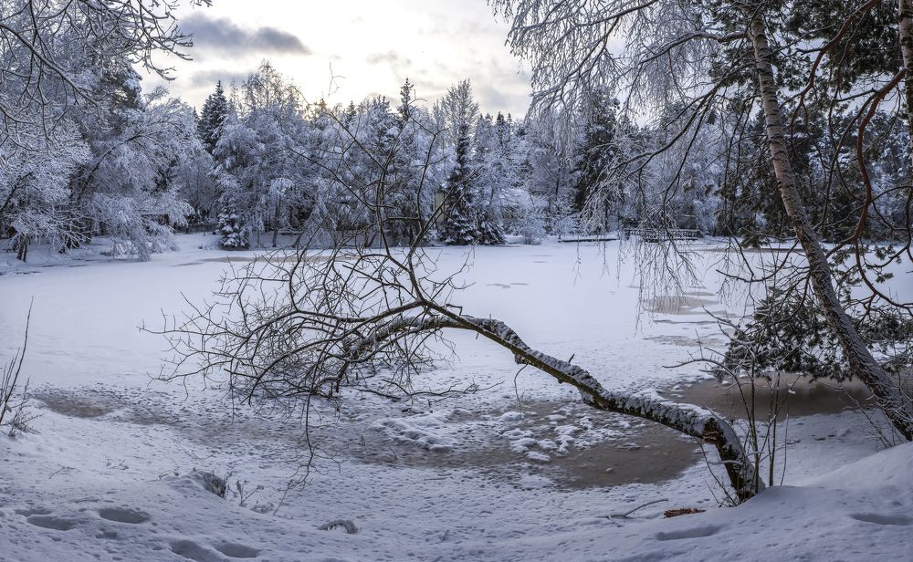 Photograph by Александр Журавлев