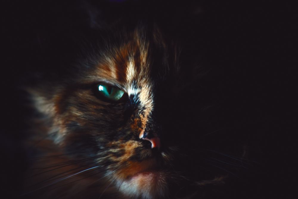 Photograph by Сергей Немчинов