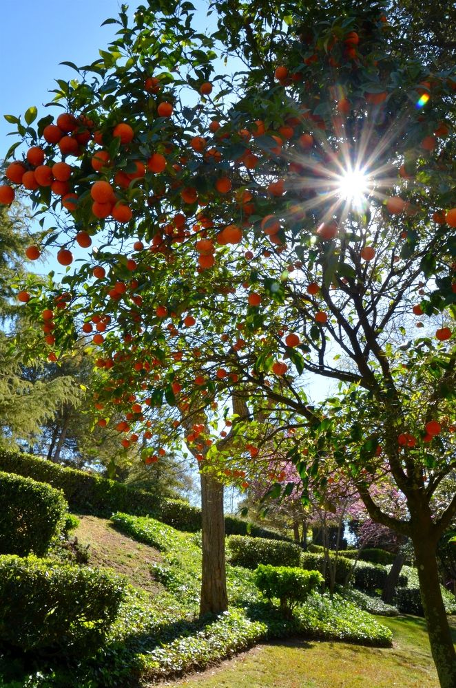 Photograph by Валерий Наумов