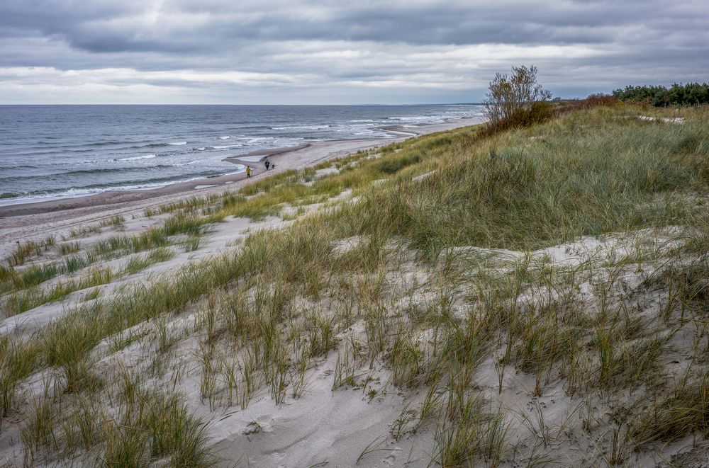 Photograph by Александр Журавлев