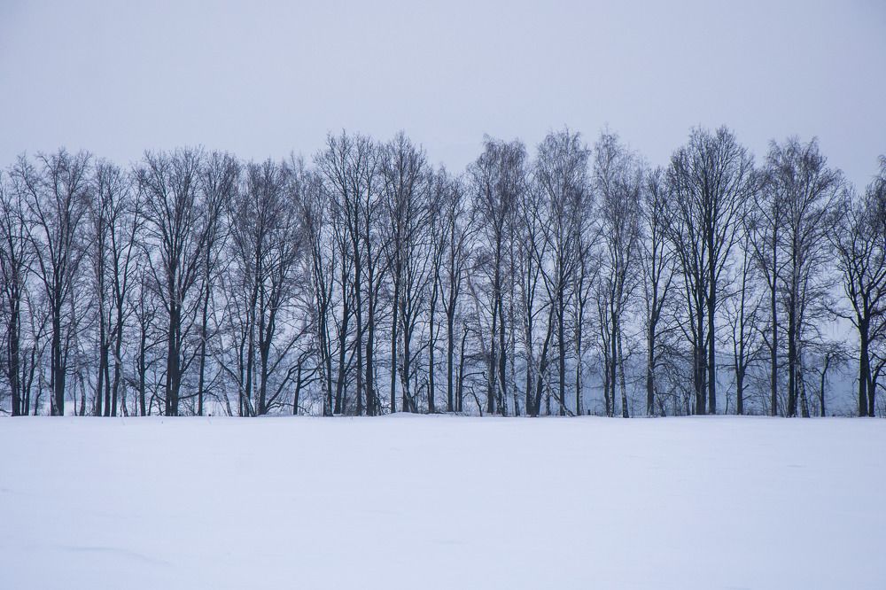 Photograph by Надежда Рудакова