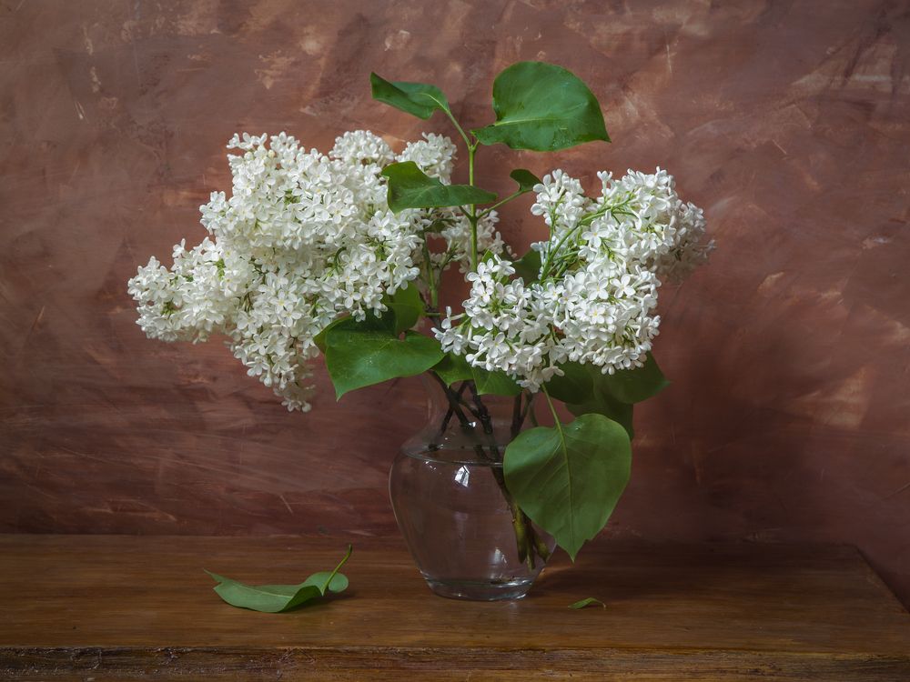 Photograph by Сергей Алексеев