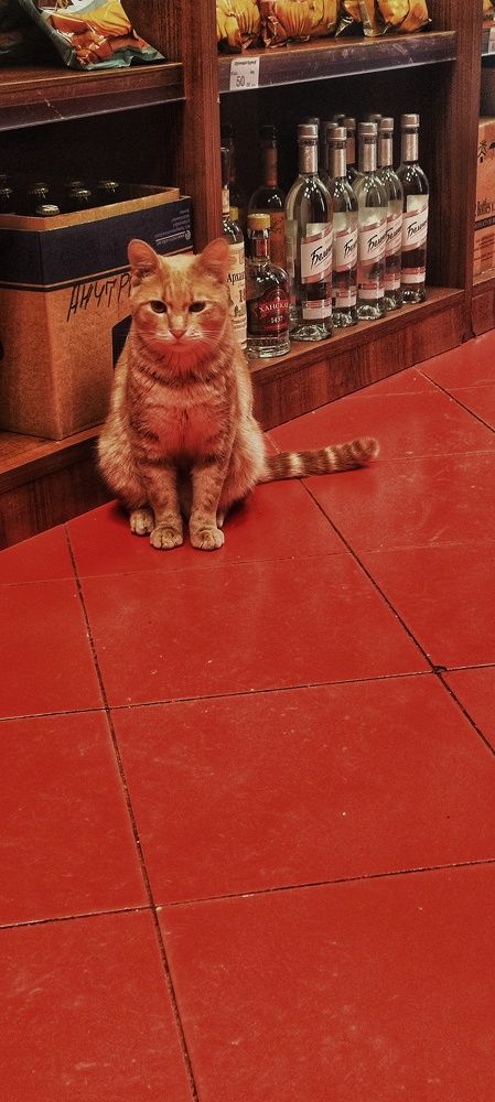 Photograph by Ирина Горбач