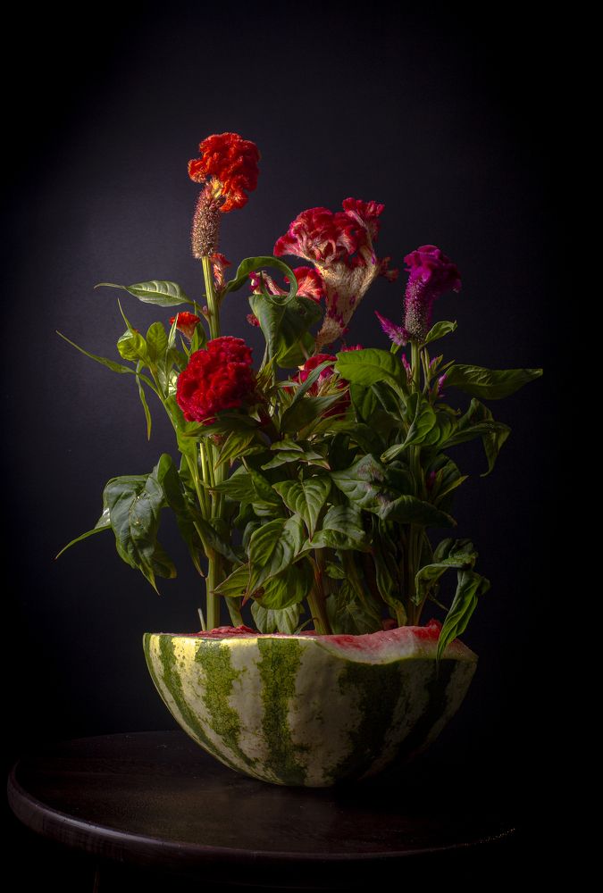 Photograph by Касьянова Ольга