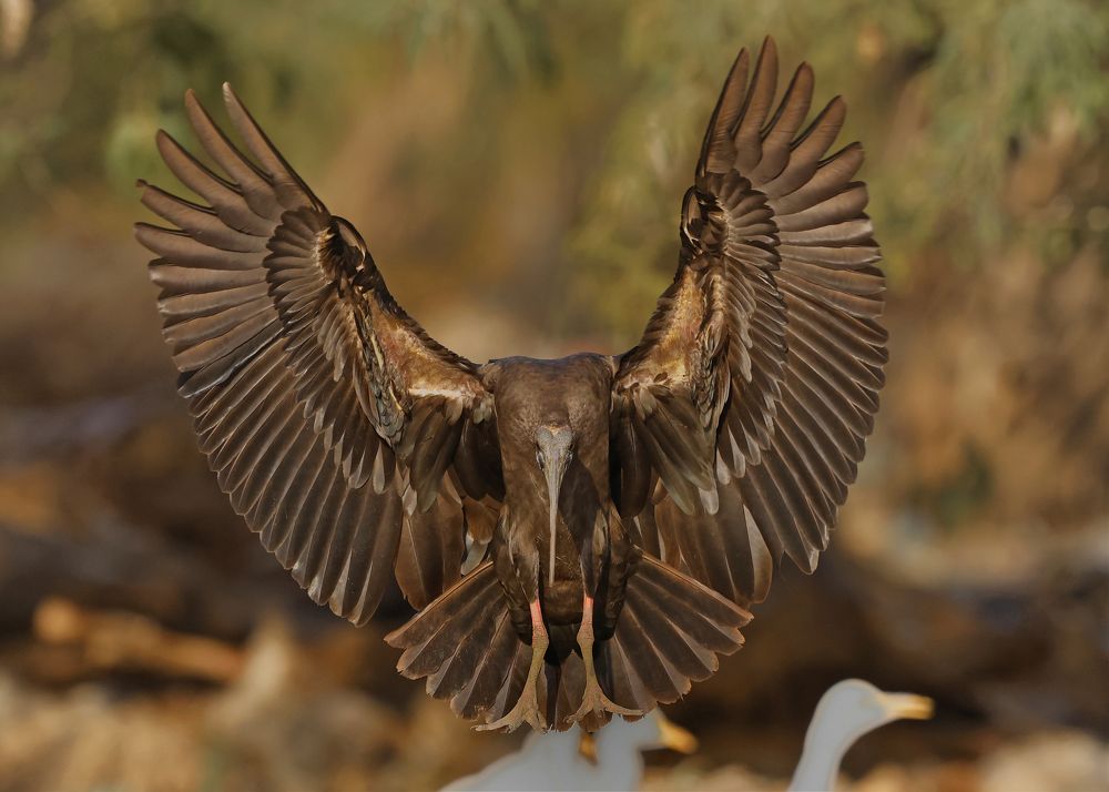 Photograph by Partha Sarkar