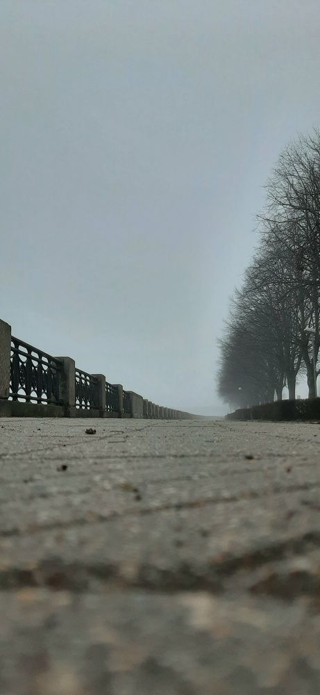 Photograph by Viktorija Baranova