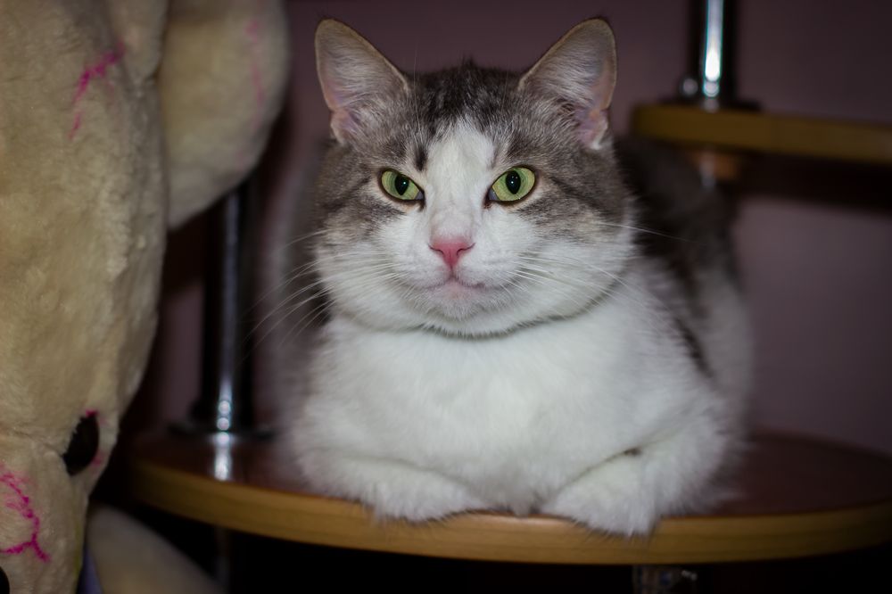 Photograph by Ирина Шклярова