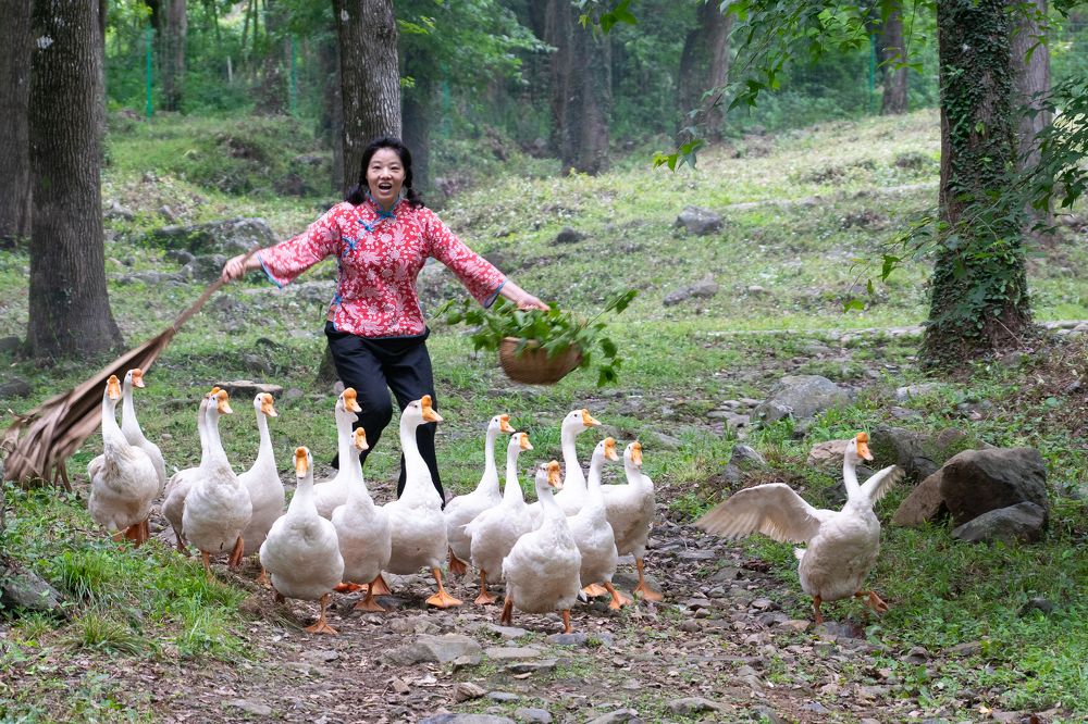 Парк города Нинде