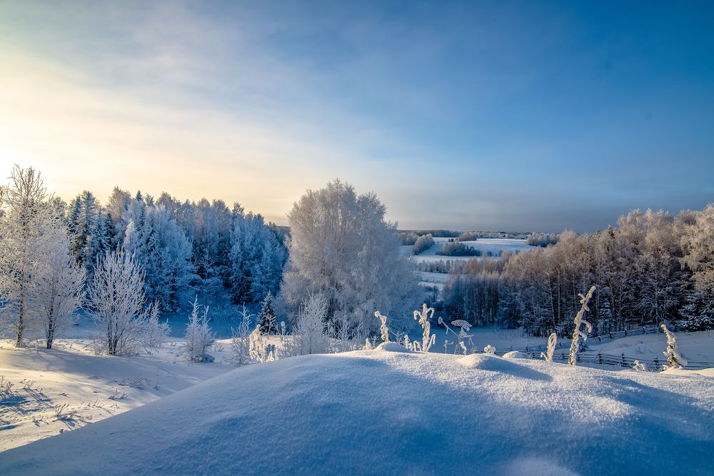 Photograph by Николай Грекалов