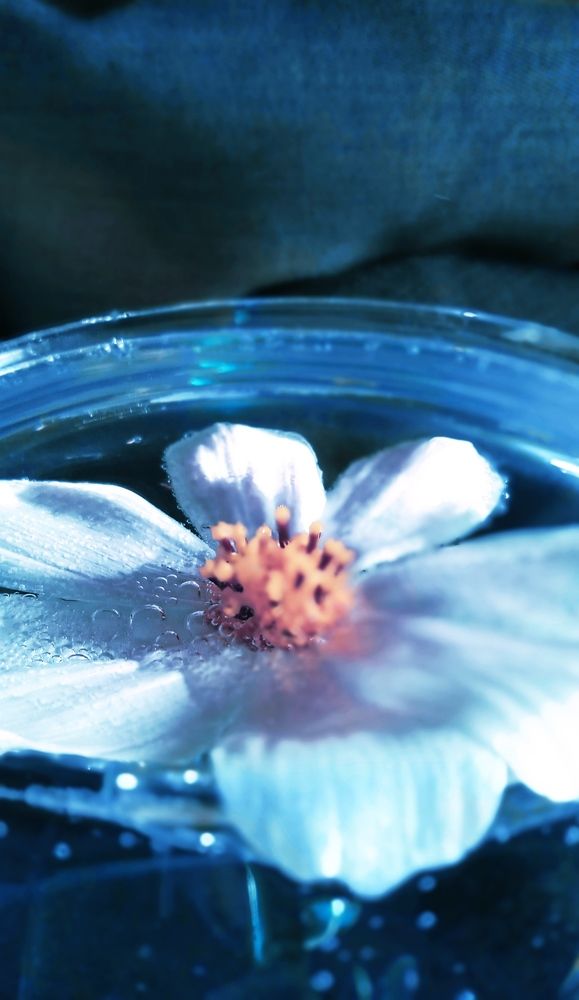 Photograph by Ольга Рыкова