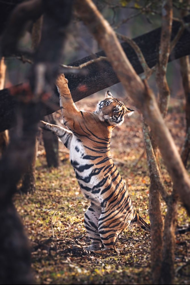 Photograph by Merche Llobera