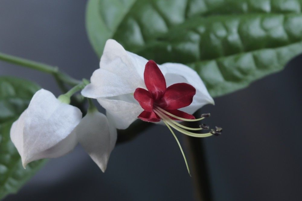 Photograph by Светлана Соколова