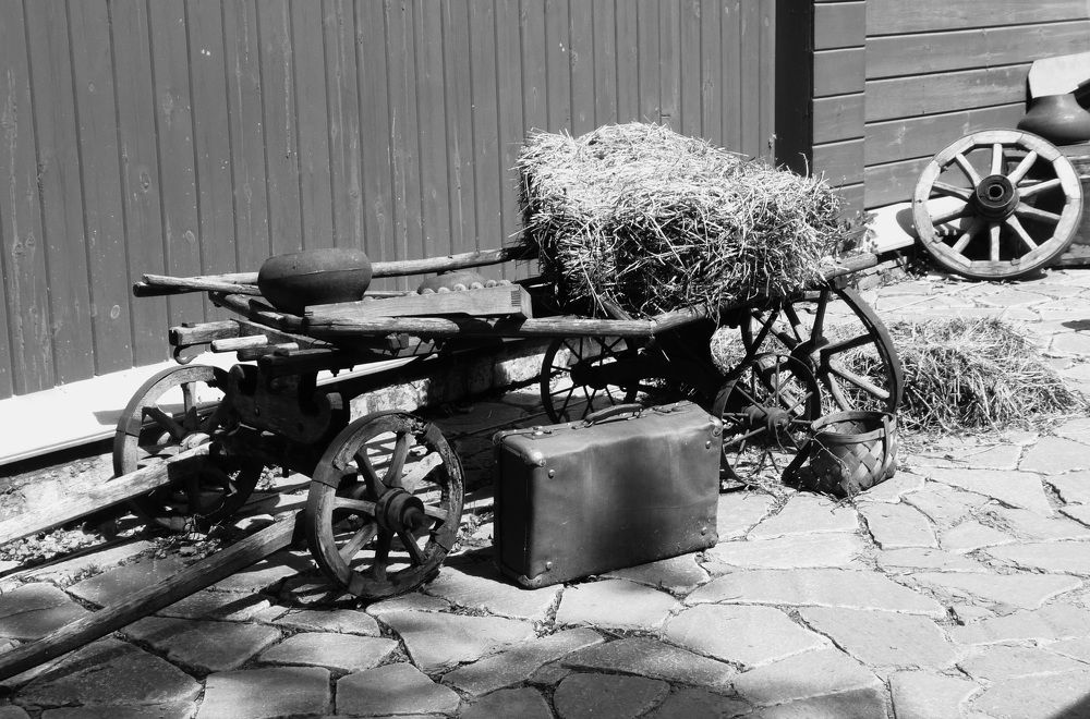 Photograph by Galina Leskova