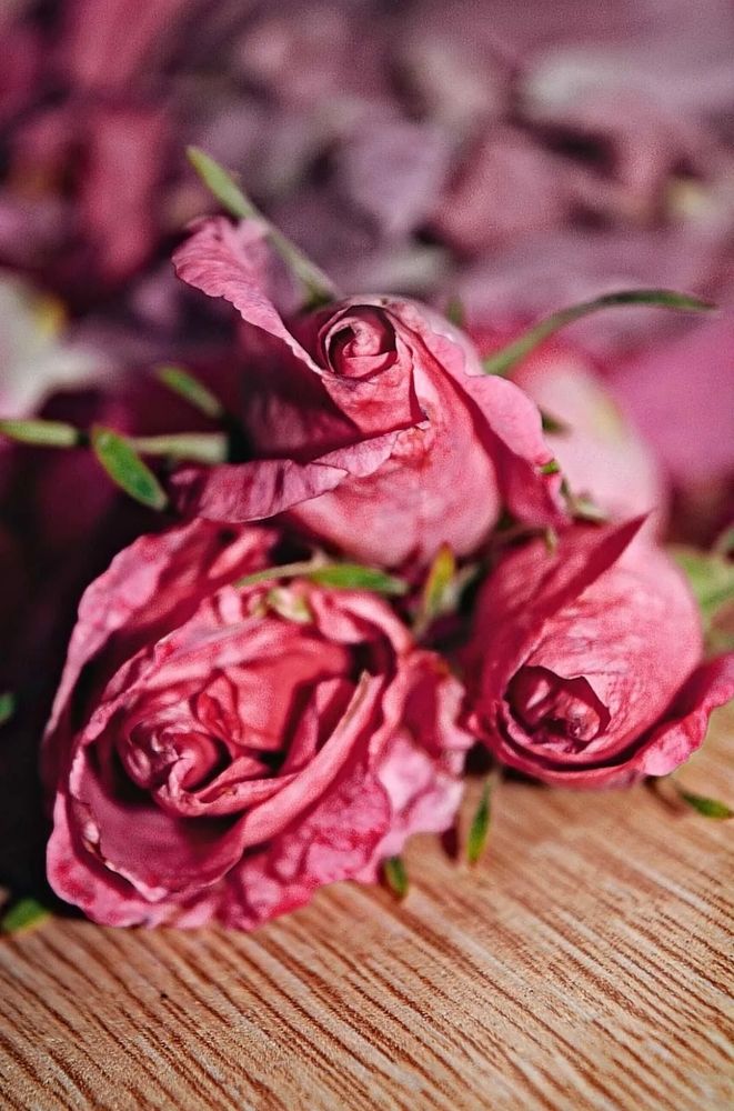 Photograph by Оксана Кийкова