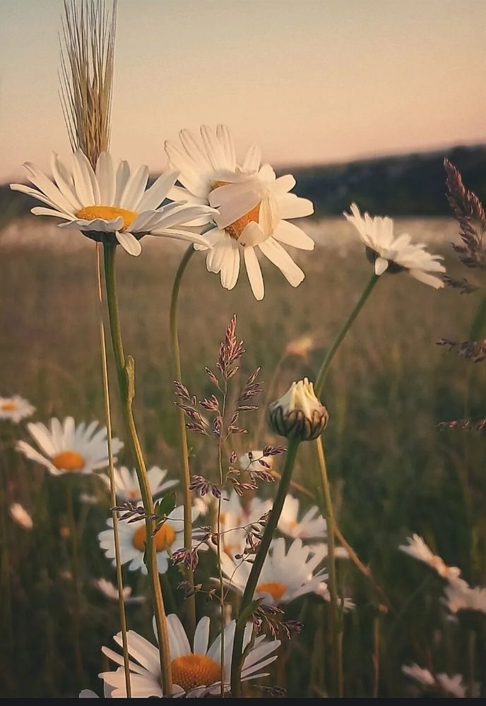Photograph by Оксана Кийкова