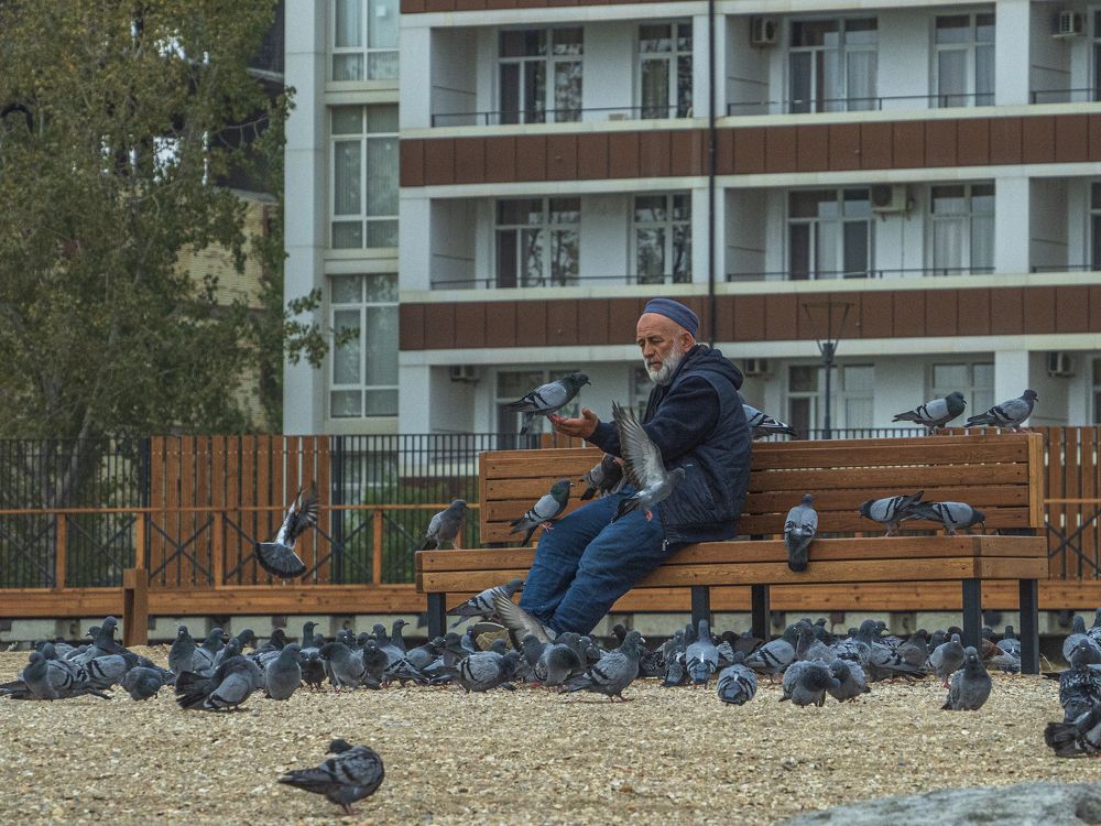 Photograph by Надежда Михайлина