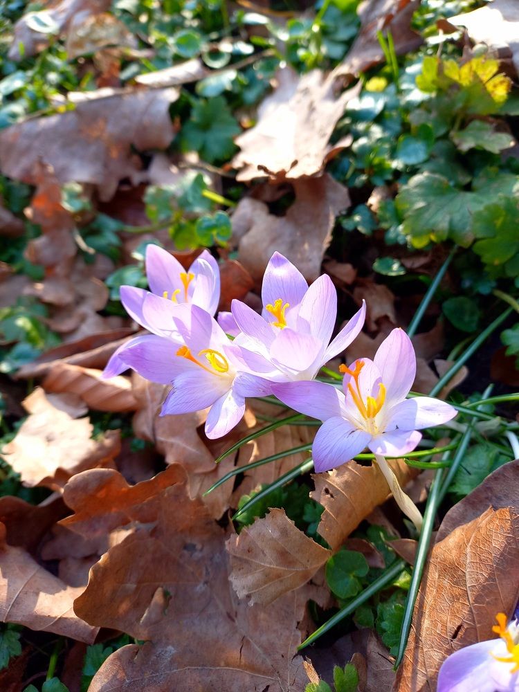 Photograph by Елена Шерман