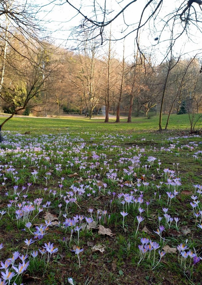 Photograph by Елена Шерман