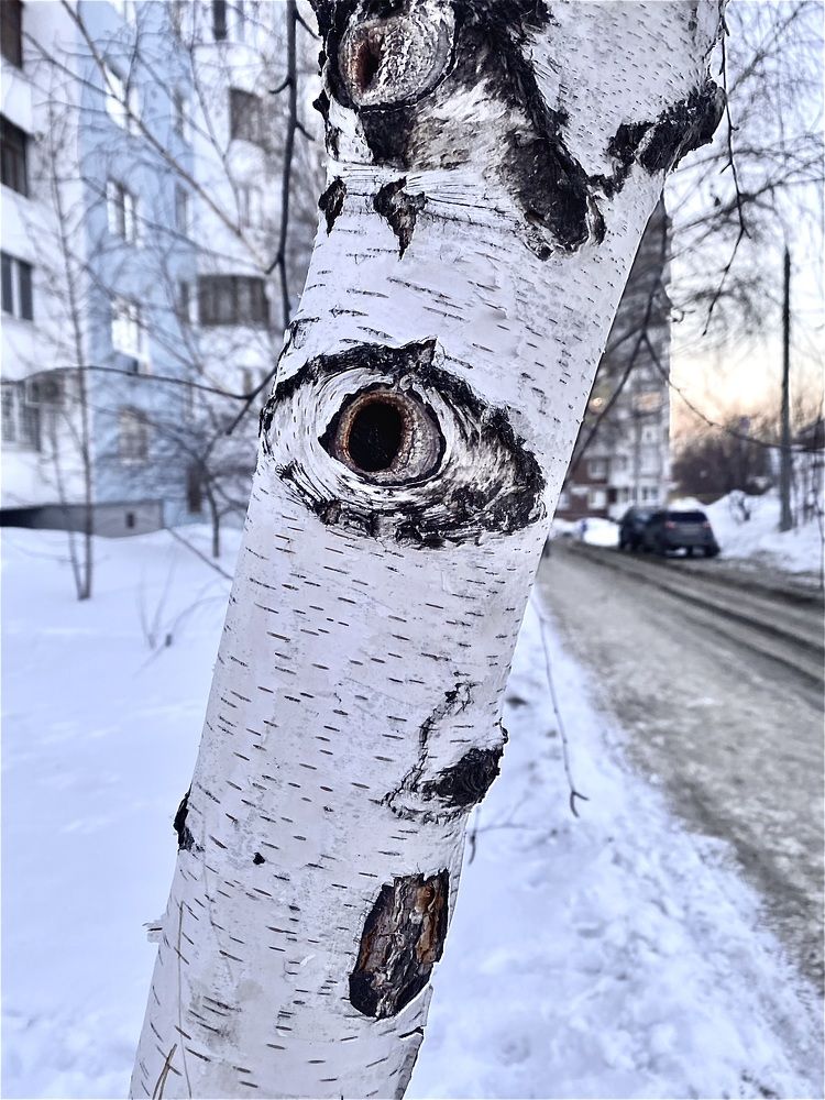 Фотография автора Gala Timaeva