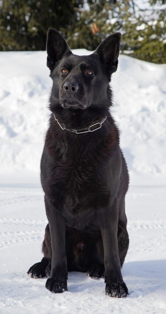 Photograph by Анастасия Рысь