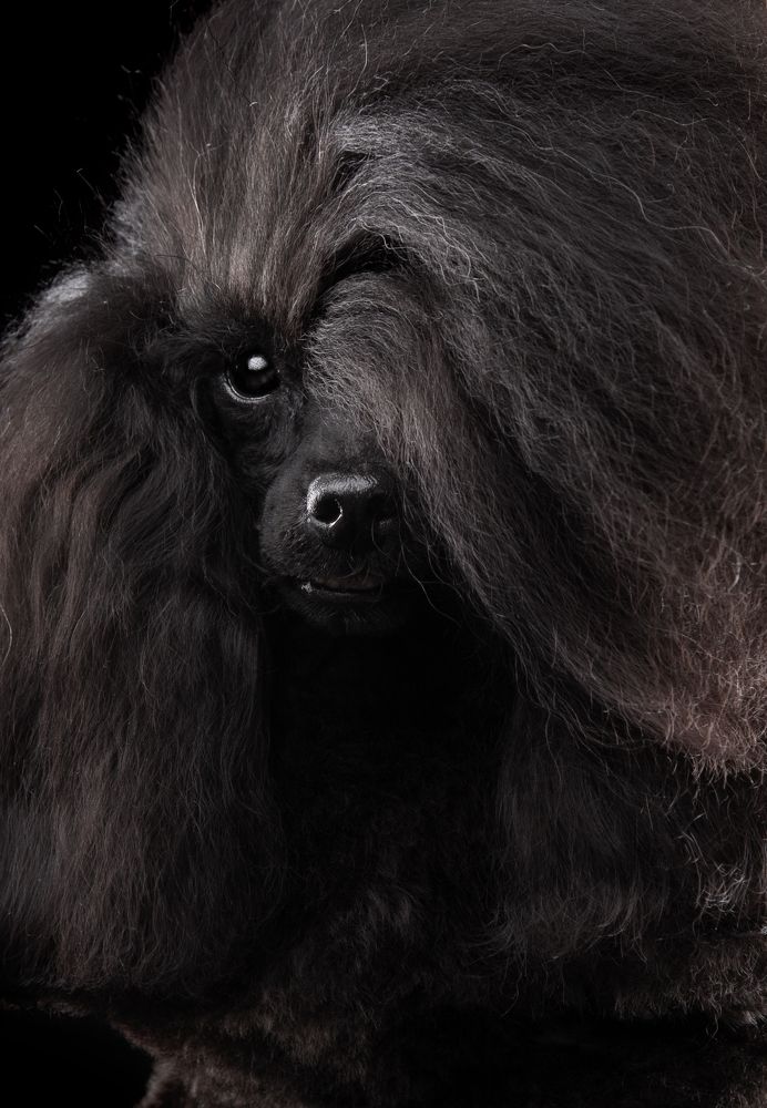 Фотография автора Katerina Mumzhinskaya