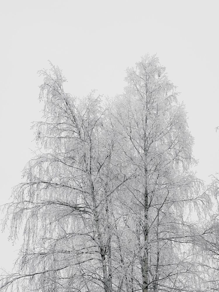 Photograph by Дмитрий Дятлов