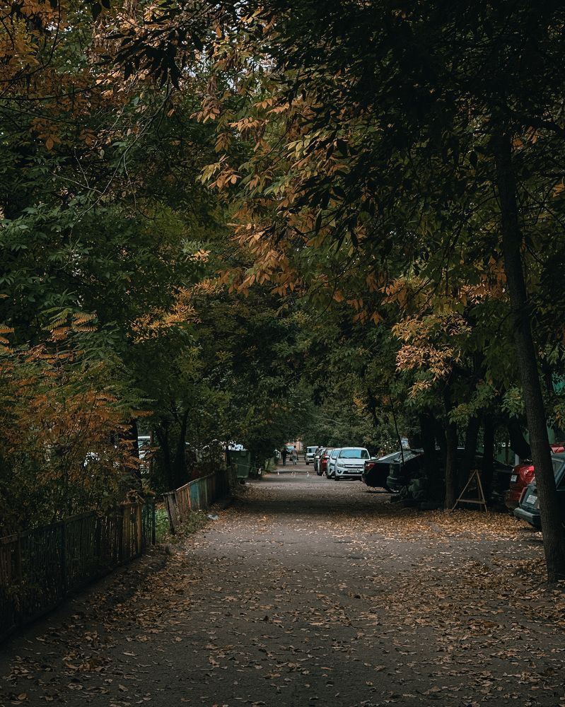 Photograph by Дмитрий Дятлов