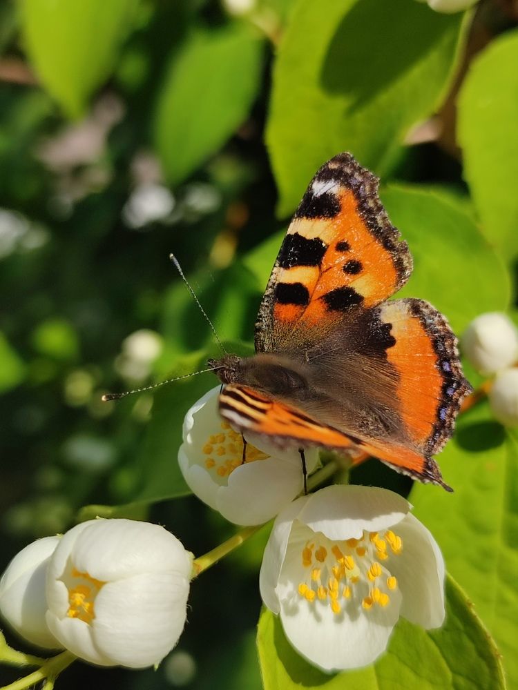 Photograph by Лолита Богачева