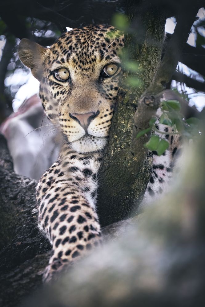 Photograph by Merche Llobera