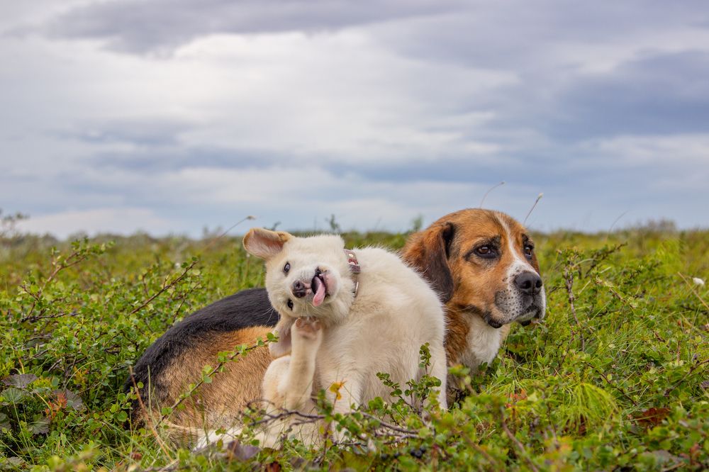 Photograph by Алина Быстрова