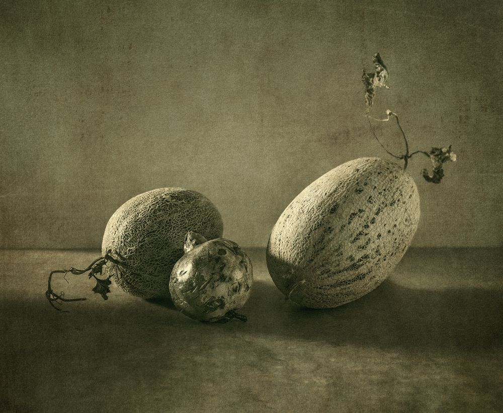 Photograph by Taтьяна Войлокова