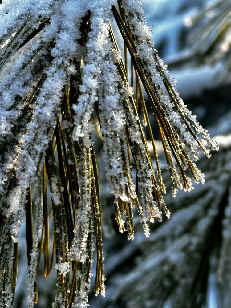 Photograph by Татьяна Казанкова