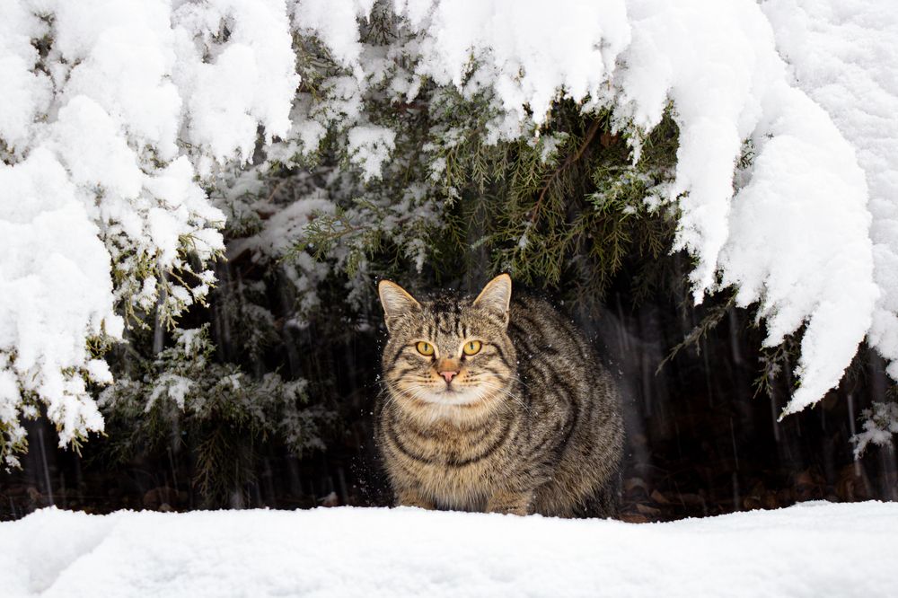 Photograph by Golestani Mojtaba