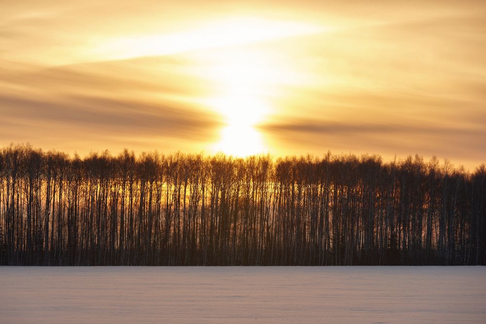ЯНВАРСКИЙ ВЕЧЕР