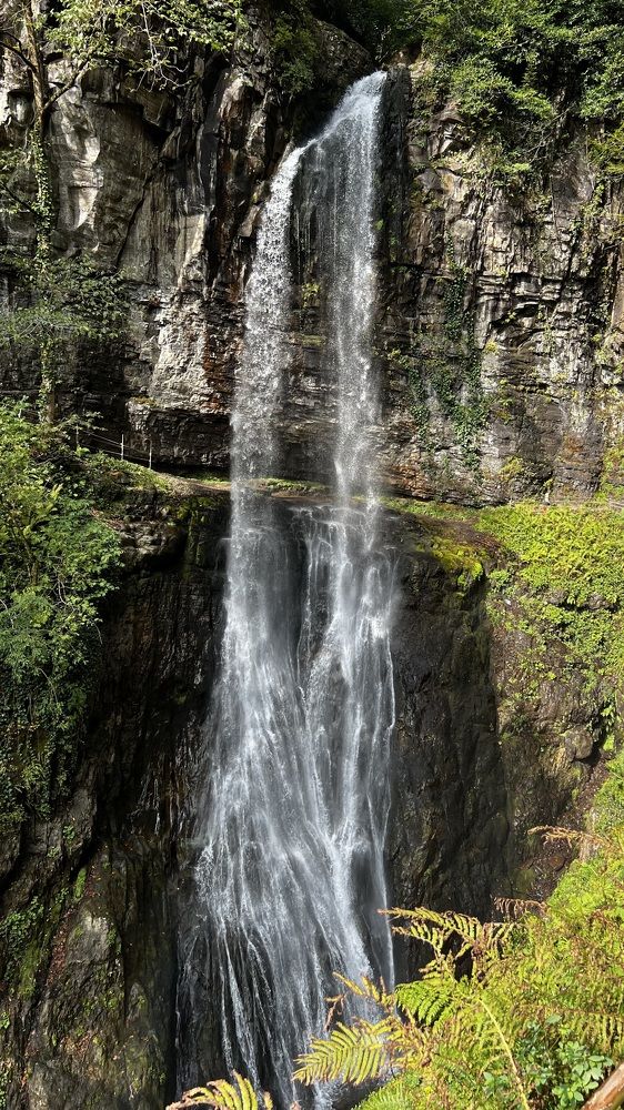 Фотография автора Юлия Недосекина