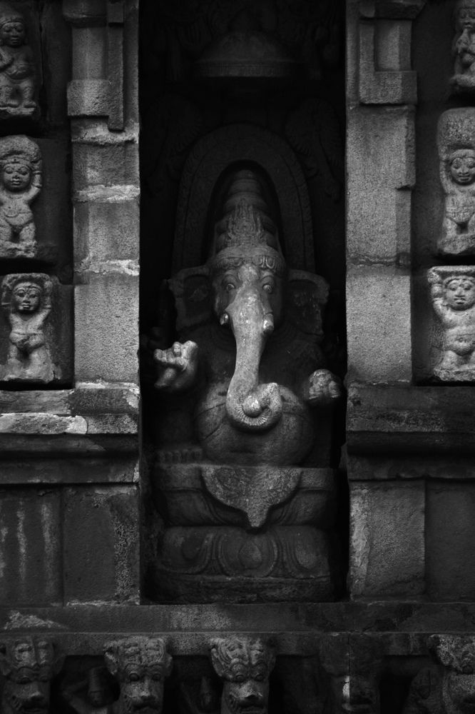 Photograph by Gopinath M