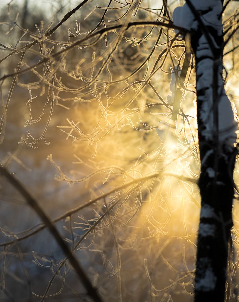 Фотография автора Барсуков Владимир